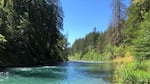 A turquoise river with trees on the banks.