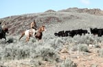 Fourth-generation rancher Nick Wilkinson moves a herd of cows from one grazing area to another in Southeast Oregon near the Nevada state line on April 4, 2025. He is opposed to exploratory drilling in the area because he says it would threaten his ranch operations and the sage grouse he's been working to protect.