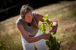 Kimmel tends to a grape vine on her vineyard.