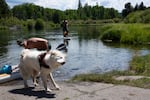 Xavier Paz (left) and dog Ruthie take out at the Dillon Falls boat ramp, while Joe Sortor and dog Jack follow behind on the Deschutes River in Deschutes County, Ore., on July 29, 2025.