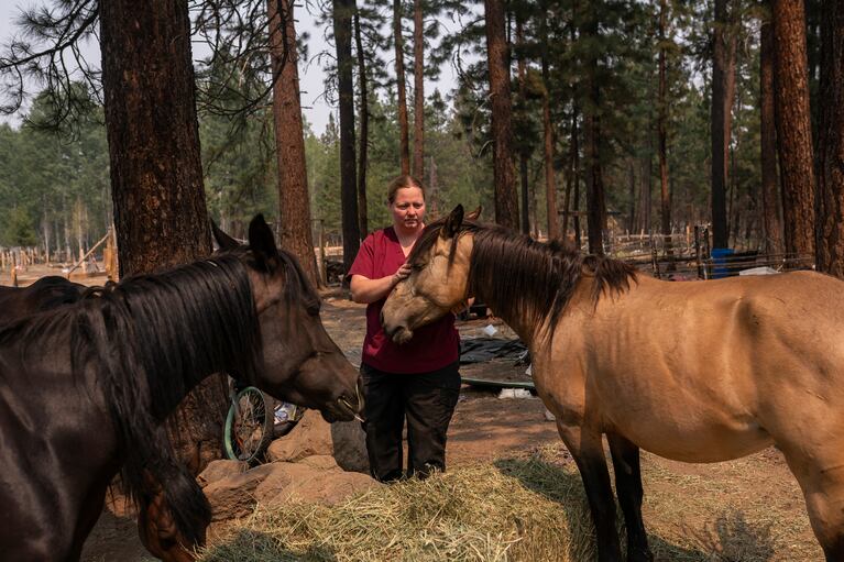A person in a wooded area stands with two horses.