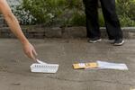 To maintain social distancing, OSU staff will communicate with study participants from a distance, and leave important forms on the doorstep in baskets.