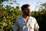 Kamal Sidhu, one of the owners of Sidhu Farm, is portrayed among triple crown blackberries on Tuesday, Sept. 2, 2025, at Sidhu Farm in Puyallup, Wash.