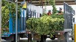 Workers unload hops for processing at Coleman Agriculture in St. Paul. Researchers are studying how the locations where hops are grown affects the way beer tastes.