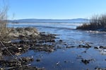 Water flows from Klamath Lake into a newly-breached section of the Upper Klamath Wildlife Refuge. It will restore wetland habitat that was lost when the area was drained and diked for agriculture in the mid-20th Century.