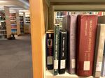 A row of books on a library shelf.