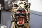 A carousel tiger sits in the Albany Carousel Museum where patrons can learn the history of the art form.