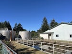 Port Orford's water treatment plant was built in 1978. City officials say its filtration system is "falling into disrepair," which adds to the city's expenses. Aug. 8, 2026.