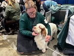 Raina Moss brings out four-year-old Pancake during the “Meet the Breeds” event at the Rose City Classic Dog Show in Portland, Ore., on Jan. 17, 2026. Pancake won "Best of Breed" for Clumber Spaniels at the event and is headed to the 2026 Westminster Kennel Club Dog Show.
