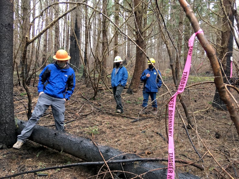 Kyle Kaupp, left, Ole Buch and Jason Cox, right, with the Oregon Department of Forestry walk past a timber sale boundary marker in the Santiam State Forest where the agency has proposed logging some of the trees burned in the Beachie Creek Fire.