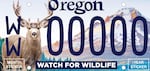 The Watch for Wildlife license plate features a mule deer and Mount Hood.