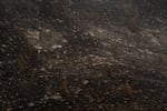 A canyon hillside is charred from the Bench Fire off Highway 26 between Warm Springs and Madras, Ore., on July 27, 2026.