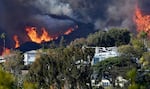 Wildfire experts have found that homes with dense vegetation are at higher risk of burning, like in the Palisades Fire in 2025. New regulations in California require homeowners to manage plants within five feet of a structure.