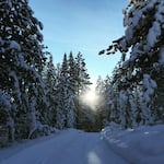 The mountains are seeing significant snow, and slick roads led many Central Oregon districts to close schools Thursday, including Bend.