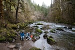 Penaluna and Kevin Weitemier filter samples of river water on the banks of the Santiam River's south fork.