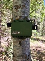 OPB’s First Look: AI boosts wildlife monitoring