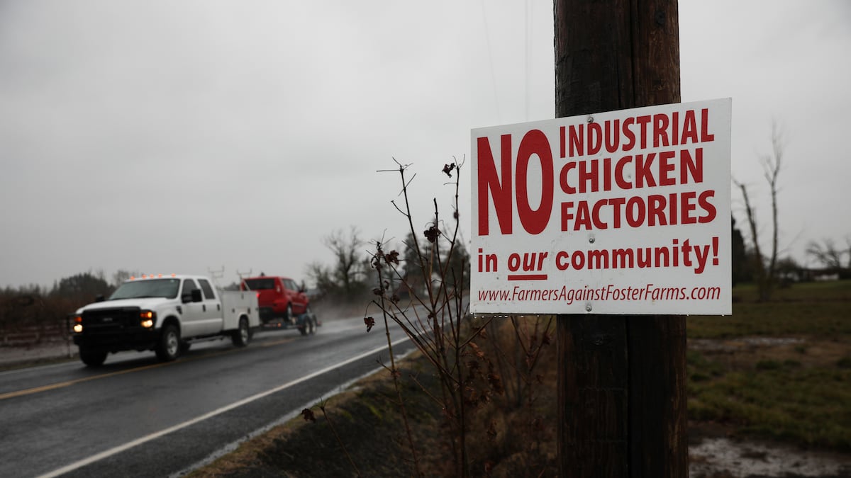 Oregon’s Linn County to revisit large-scale livestock rules following pushback from farm groups