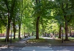 Portland's South Park Blocks are often a gathering place for people who work downtown. But this summer, the tree-lined blocks are largely empty, with many office workers still working from home.