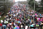 Demonstrators march through the rain at Women's March on Portland on Saturday, Jan. 21, 2017.