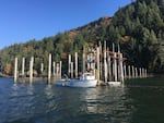 An experimental fish trap on the lower Columbia River has repurposed an old fishing method in search of a more sustainable way to catch salmon.