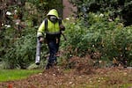 A gardener uses a leaf blower to clear leaves at a home in Sacramento, Calif., in this Oct. 13, 2021 file photo. The sale of gas-powered leaf blowers had been a controversial issue in California in recent years until a law passed last year that outlawed such sales in the state beginning this July. 