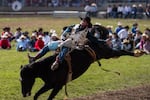 Keenan Hayes holds onto the horse, Midnight Special, during the bareback event on Friday.