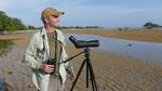 Noah Strycker looking for shorebirds in Bali, Indonesia.