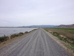 Irrigated crops can be often be seen on one side of the road in the Klamath Basin’s wildlife refuges with open water or wetlands on the other side.