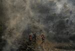 July 19, 2023: Firefighters work to extinguish a wildfire in a forest near Nea Peramos, west of Athens.