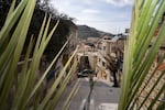 Palms decorate the path to St. Maron Church in Jezzine, a predominately Christian town in Southern Lebanon.