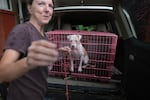 Gina Holland evacuates her home with her dog Cici in Pensacola, Fla., before the expected landfall of Hurricane Isaias.