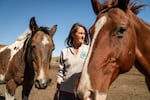 A woman stands between two horses under a cloudless sky at a Montana ranch.