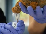 Fruit substance is carefully extracted from a bottle.