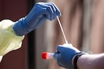 Oregon Health & Science University nurse practitioner Shelby Freed pulls a COVID-19 test swab from its sleeve at a drive-up station in Portland, Ore., Friday, March 20, 2020. Oregon has a severely limited number of tests, concealing the true spread of the novel coronavirus in the state.