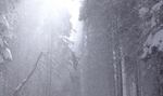 Snow falls on Mount Ashland. Snow here drains into both the Klamath and Rogue basins.