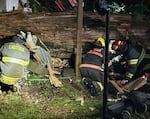 Eastside Fire and Rescue rescued someone trapped inside a camper after a tree had fallen on it during a strong wind storm March 11, 2026, in Carnation. The tree was 70-feet tall and nearly 5 foot in diameter.