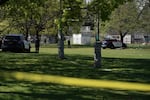 Two police cars and several officers are visible in a grassy park on a sunny day.