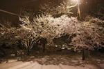 Many parts of Portland saw several inches of snowfall Tuesday night into Wednesday, Jan. 11, 2017, leaving side streets like Lambert Street in Portland's Sellwood neighborhood covered.