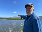 In June 2022, farmer Karl Wenner points out native plants and migratory birds that have moved onto his farm since he turned one of his barley fields into a permanent wetland near Klamath Falls.