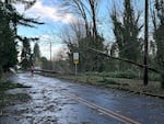 Damage is seen in a neighborhood in Issaquah, Wash., Wednesday, Nov. 20, 2024, after a 'bomb cyclone' brought high winds to the Pacific Northwest overnight.