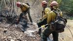 Firefighters working southern Oregon's Milepost 97 Fire cool stumps and other smoldering wood debris Wednesday, July 31, 2019, inside the burn area.