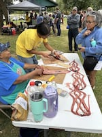 At the recent lamprey celebration in Oregon City, two Native American demonstrators show visitors how to filet lamprey for drying.