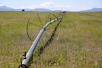 A wheel line irrigation system crosses a field in Jefferson County, near Madras, Ore., in May 2022. Years of water shortages have challenged farmers in the North Unit Irrigation District.