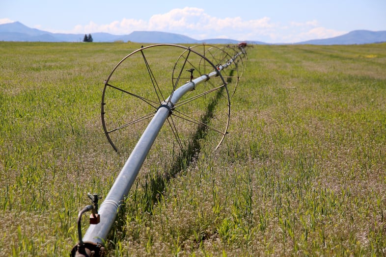 A wheel line irrigation system crosses a field in Jefferson County, near Madras, Oregon, in May 2022. Years of water shortages have challenged farmers in the North Unit Irrigation District.