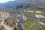 Work at Finn Rock has widened the river and slowed it down to make habitat for salmon and other wildlife.