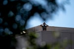A federal agent looks through binoculars from the U.S. Immigration and Customs Enforcement building towards protesters before U.S. Department of Homeland Security Secretary Kristi Noem visits to Portland on Tuesday, Oct. 7, 2025.