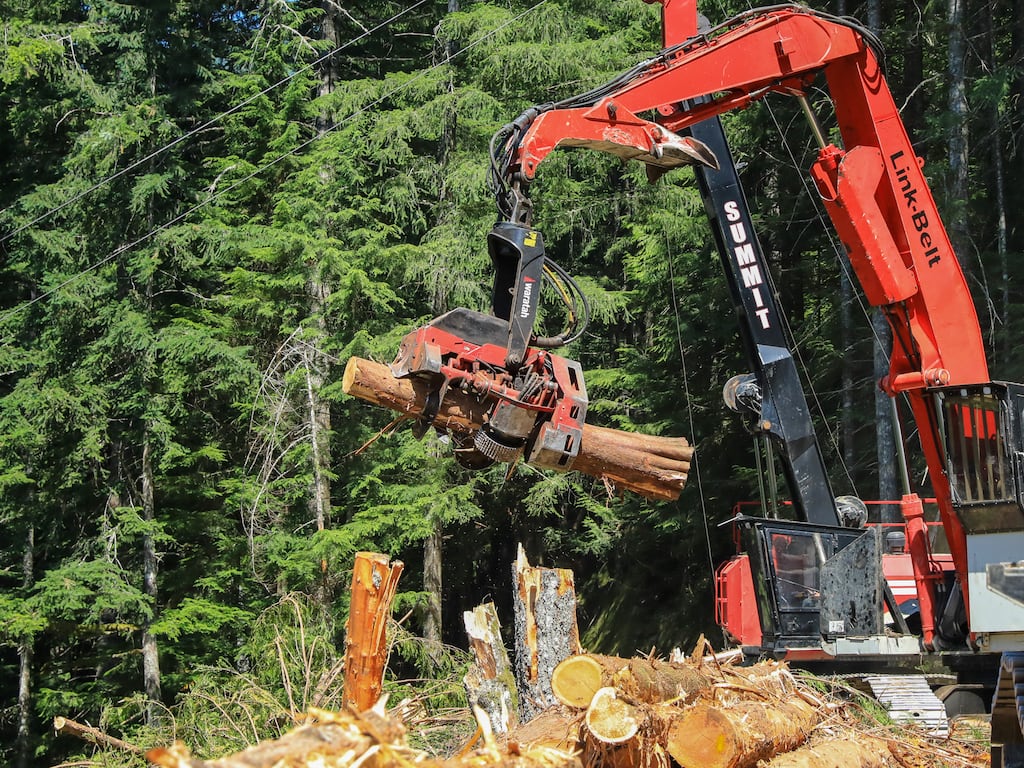 FILE - A harvester crane processes a log on a thinning project in the Mount Baker-Snoqualmie National Forest in Washington state. A new lawsuit targeting a timber harvest in Oregon could upend management of federal lands across the West.