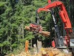 FILE - A harvester crane processes a log on a thinning project in the Mount Baker-Snoqualmie National Forest in Washington state. A new lawsuit targeting a timber harvest in Oregon could upend management of federal lands across the West.