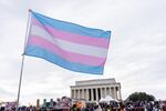 A person waves a transgender pride flag during the People's March and rally to the Lincoln Memorial in Washington, D.C., United States, on Jan. 18.
