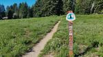 The last Franklin's bumblebee ever seen was just south of this spot near the Pacific Crest Trail on Mount Ashland.